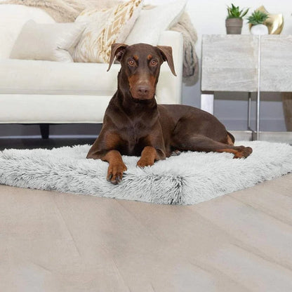 "Dog resting on a non-slip, waterproof orthopedic mat."



