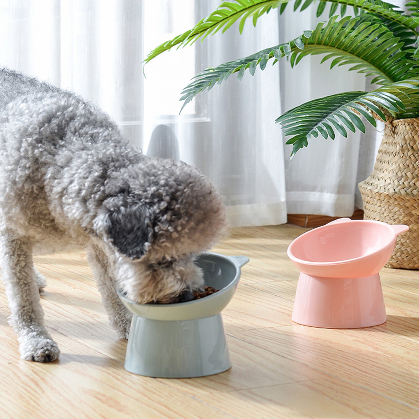 "A happy cat eating from one of the ergonomic bowls, demonstrating the ease and comfort of use."