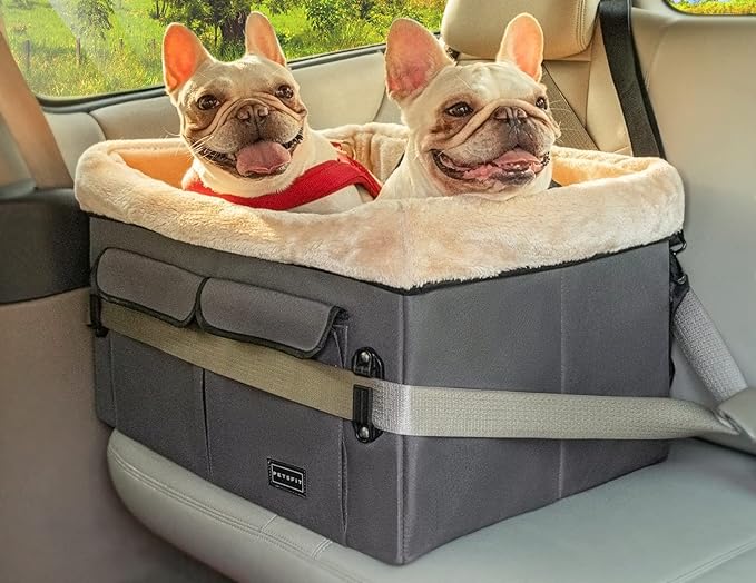 Two small dog sharing a medium size grey booster seat.