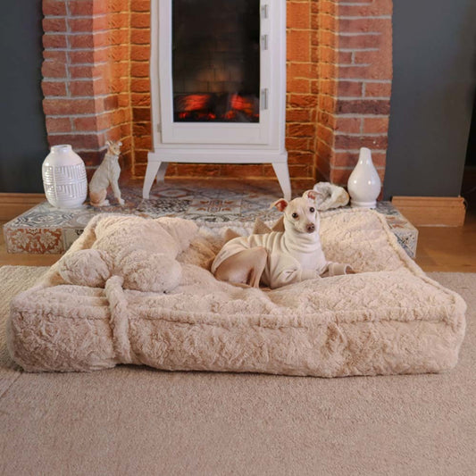 Cosy Supportive Soft Warming Luxury Bone Cloud Shape Dog Bed