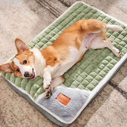 "Corgi sprawled out on an orthopedic bed, showcasing comfort and space."