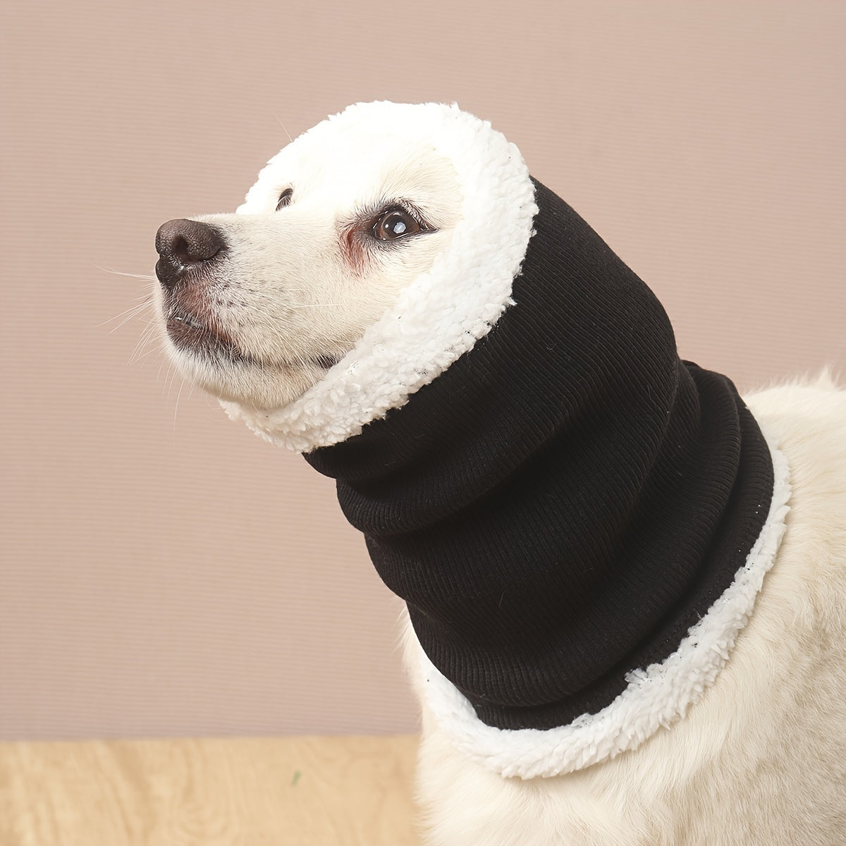 Fashionable dog wearing ear protection headgear outdoors in black color