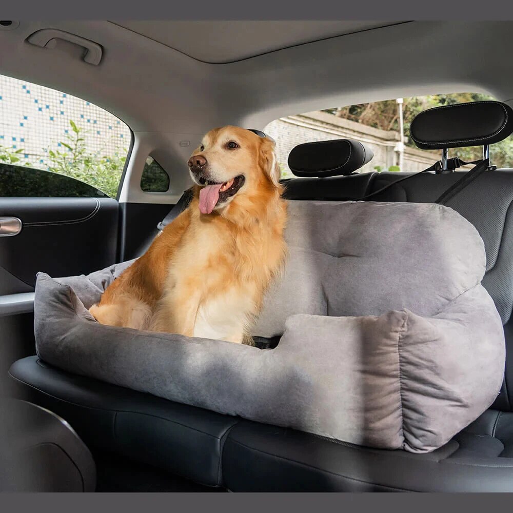 "Golden Retriever in his car booster seat, looking out the backseat window."