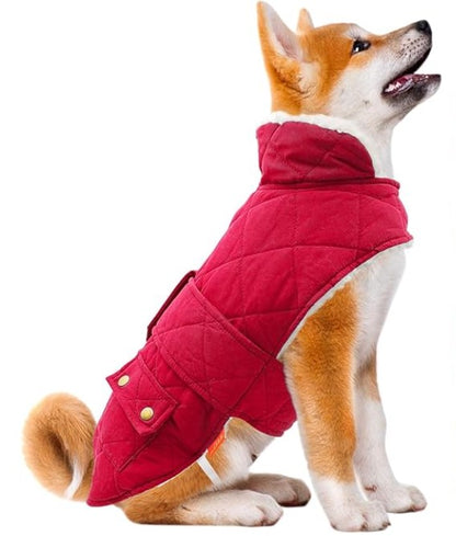 Warm Dog Jacket in Red Color