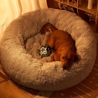 Dog Lying in Brown Round Washable Dog Bed for Medium Pets in a Cozy Home Setting

