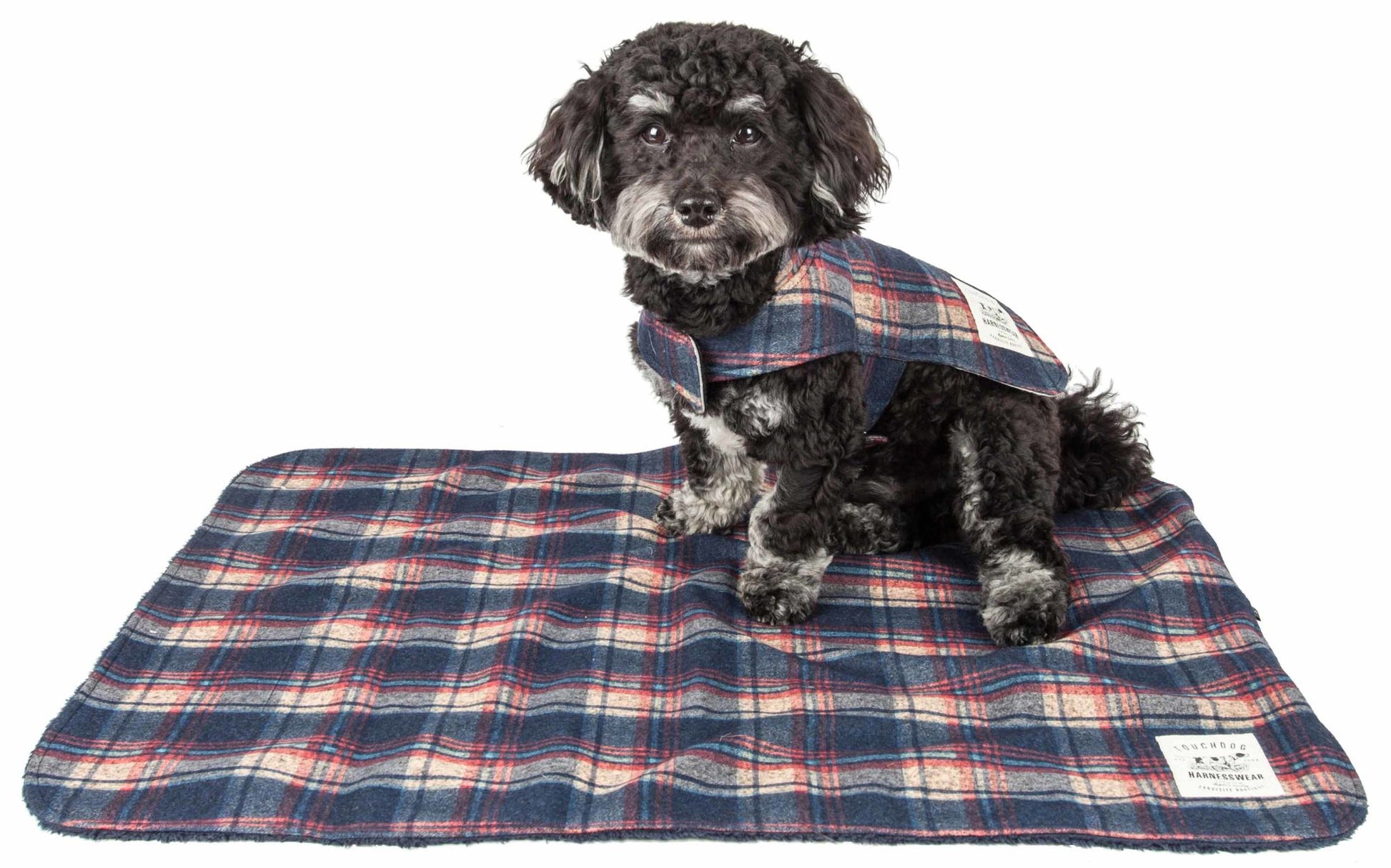 "Dog lying on a blue reversible tartan mat in a different tartan pattern."
