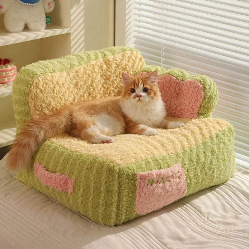 "Ginger cat seated on a green plush fleece small pet sofa, making eye contact with the camera."
