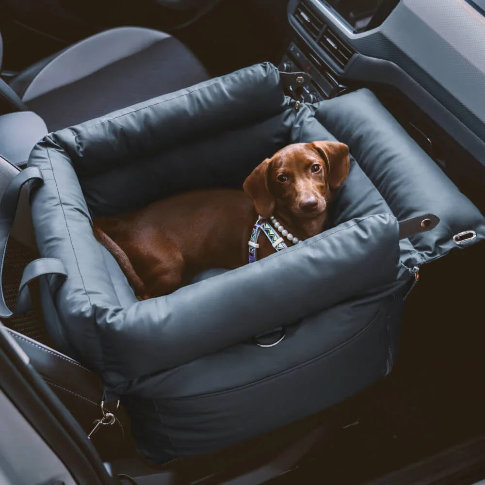 Dog relaxing in a comfortable faux leather travel booster bed.