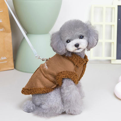 "Small dog on a lead, facing the camera in a cozy brown lamb fleece vest."
