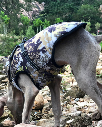 "Dog sniffing the ground in a forest, perfectly suited for outdoor exploration."
