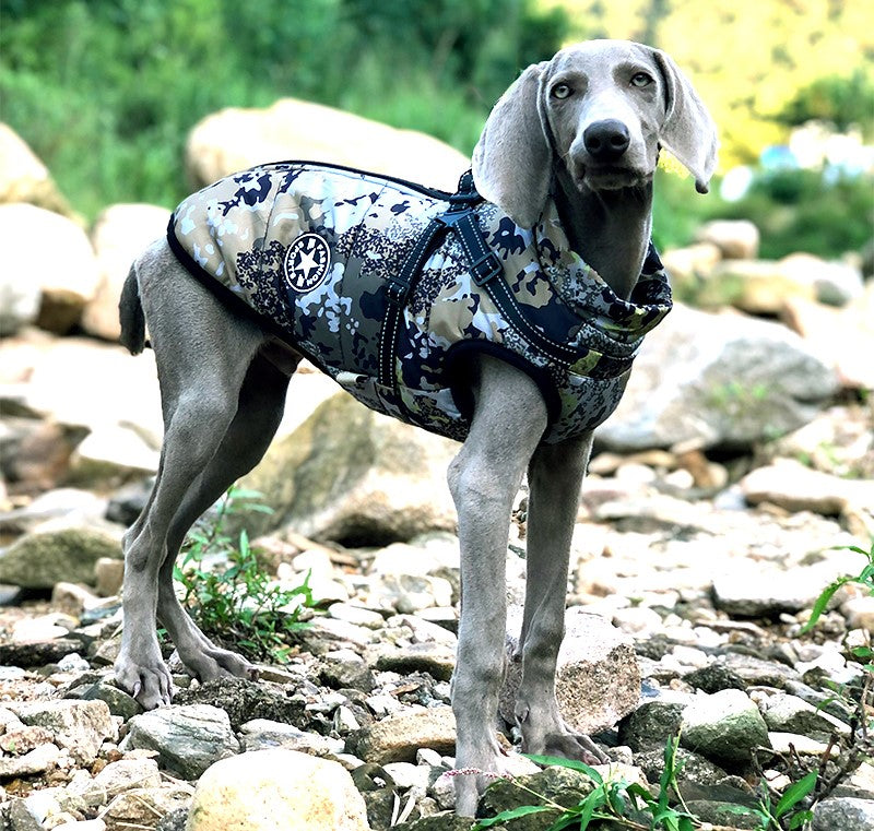 "Dog exploring a forest, clad in a combat pattern waterproof coat."
