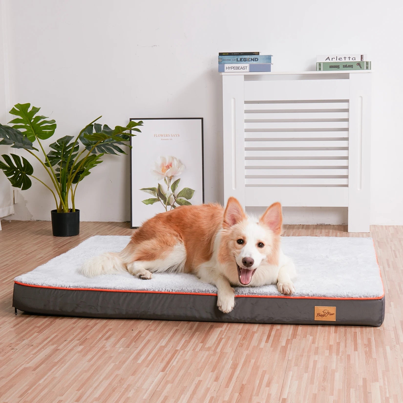 Orthopedic Dog Bed with Memory Foam and Waterproof Cover for Superior Comfort