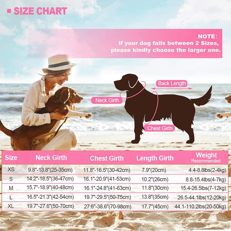 "Dog next to a size chart for the water safety vest, ensuring the perfect fit."
