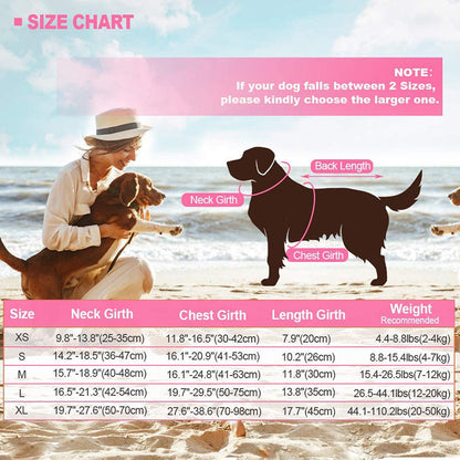 "Dog next to a size chart for the water safety vest, ensuring the perfect fit."
