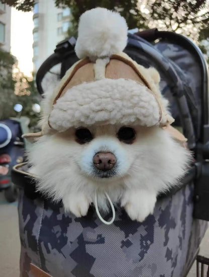 Sherpa Hat for Dogs