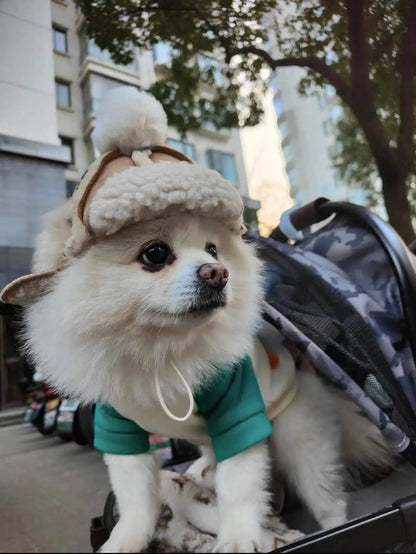 Sherpa Hat for Dogs