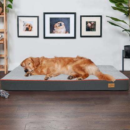 Comfortable and Supportive Memory Foam Dog Bed for Joint Health