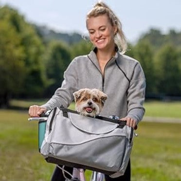 A Girl and Dog using the silver bike basket