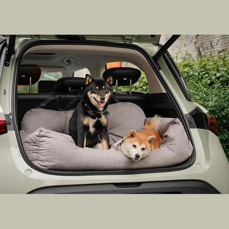 "Two dogs snug in a car booster seat in the boot, eager faces peeking out."