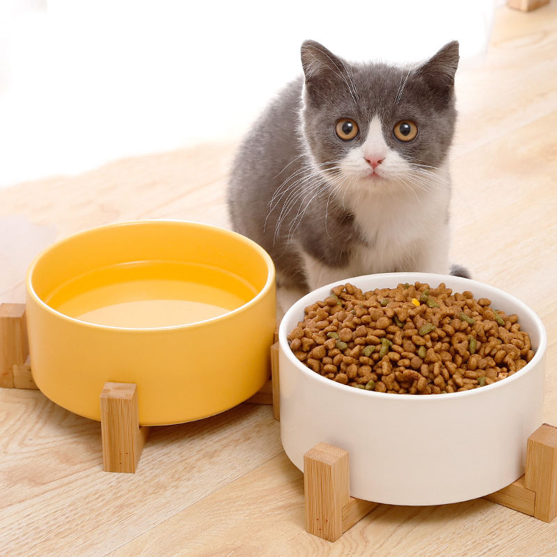 Neck-protecting cat water and food bowl elevated 