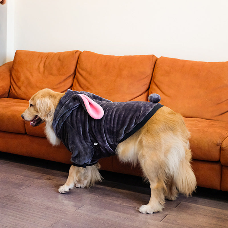 Adorable dog wearing gray rabbit dog sweater for warmth