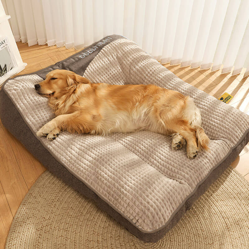 Dog resting comfortably on our orthopedic cushion bed.