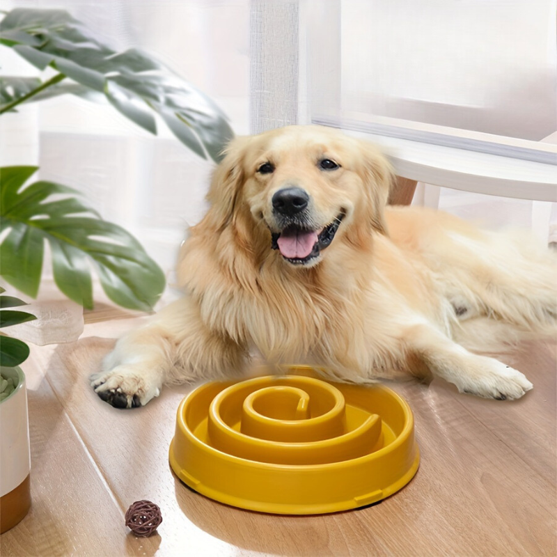 A dog infront of the Smart Puzzle Slow Feeder 