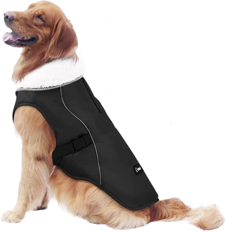 Winter Dog Jacket in Black Color