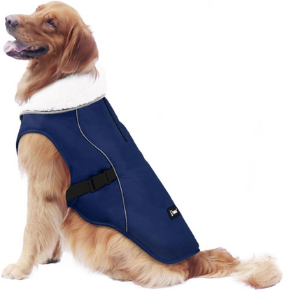 Winter Dog Jacket in Blue Color