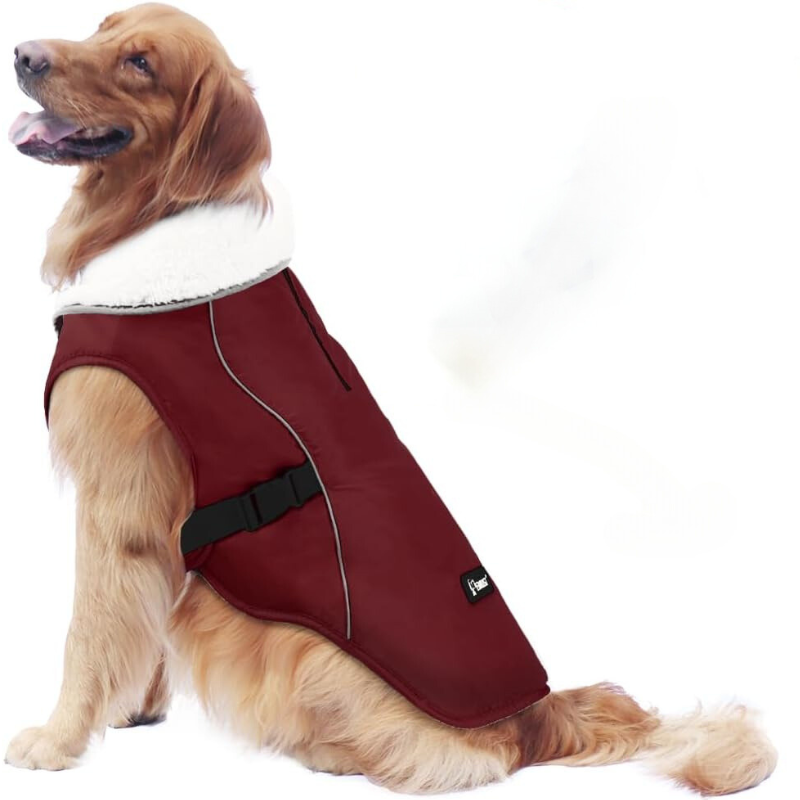 Winter Dog Jacket in Burgundy Color