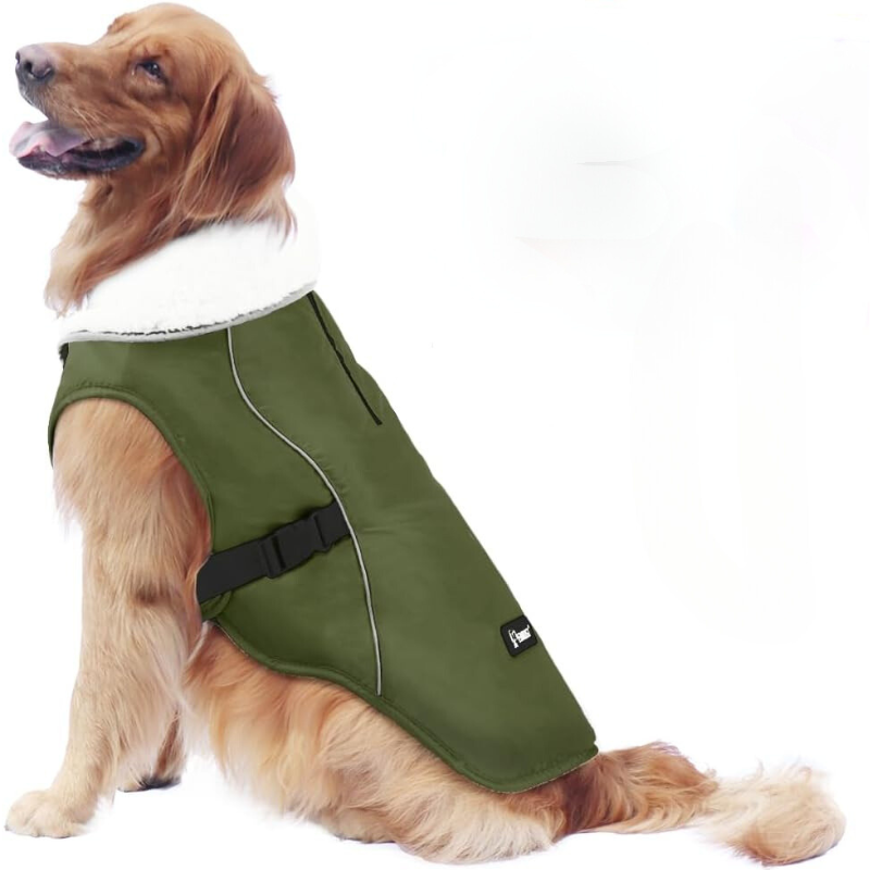 Winter Dog Jacket in Green Color