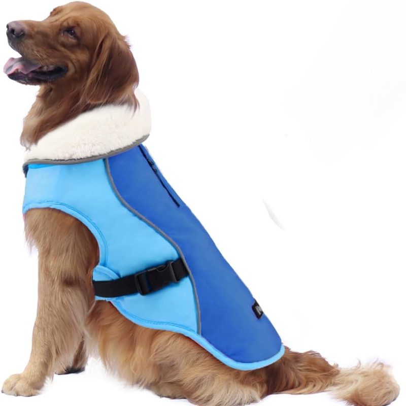 Winter Dog Jacket in New Blue Color