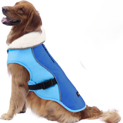 Winter Dog Jacket in New Blue Color