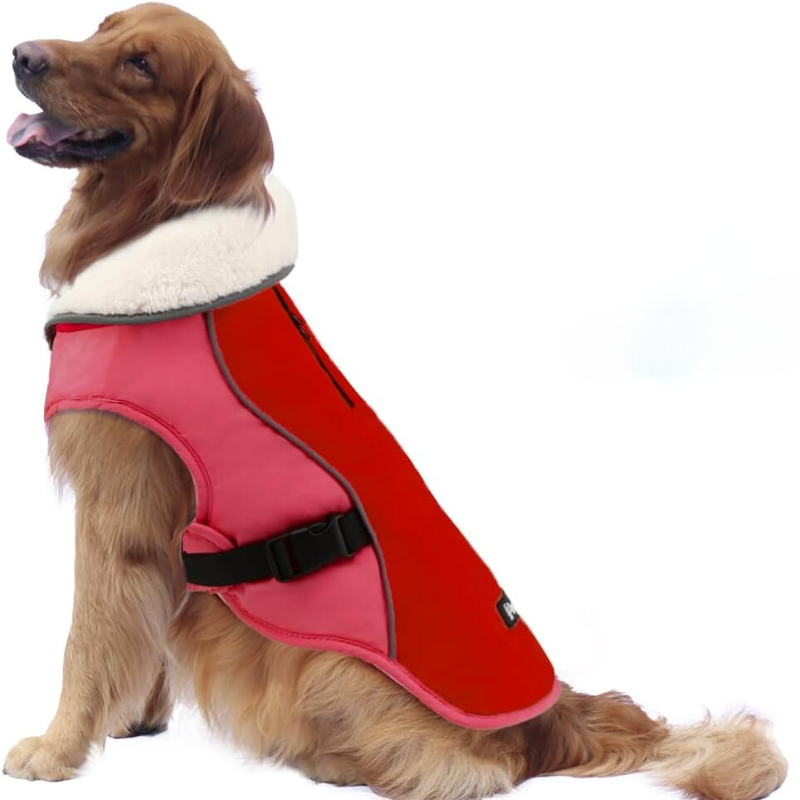 Winter Dog Jacket in New Orange Color