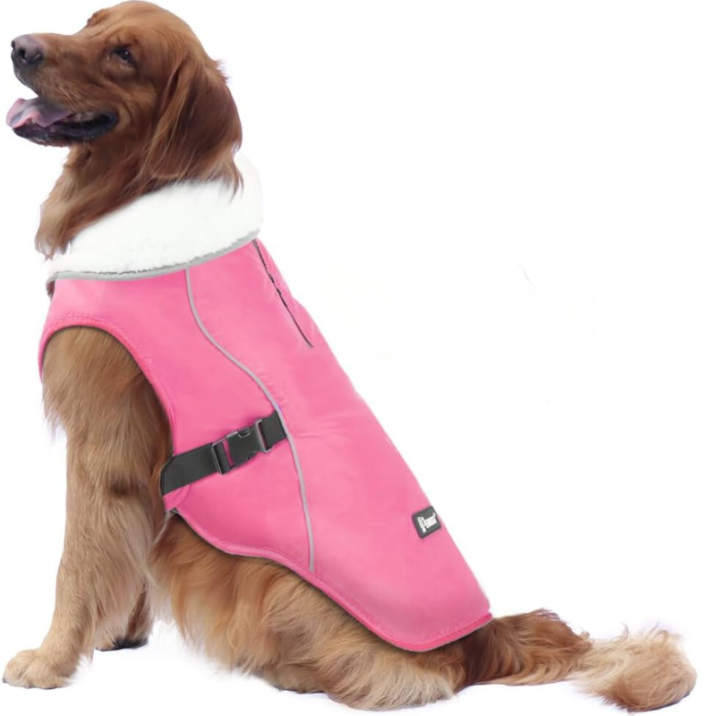 Winter Dog Jacket in Pink Color