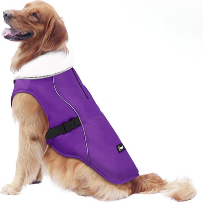 Winter Dog Jacket in Purple Color