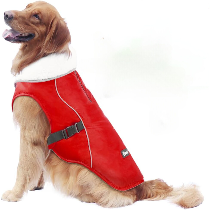 Winter Dog Jacket in Red Color