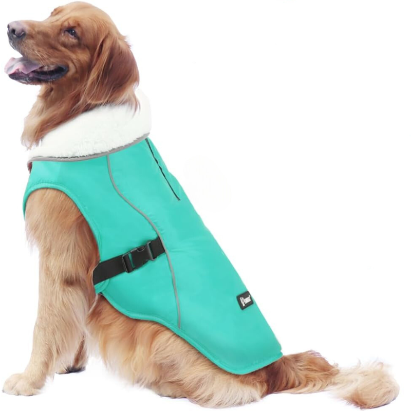 Winter Dog Jacket in Turquoise Color