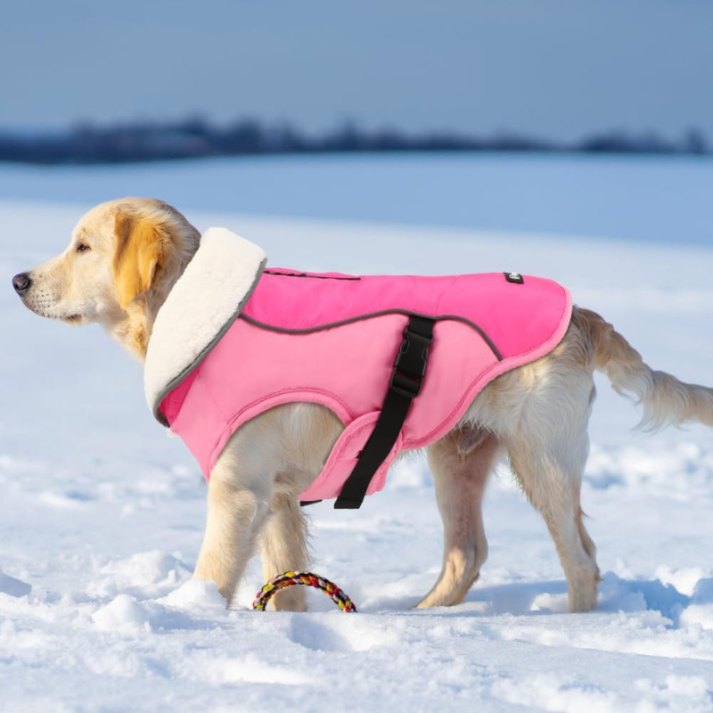 Winter Dog Jacket in New Pink Color