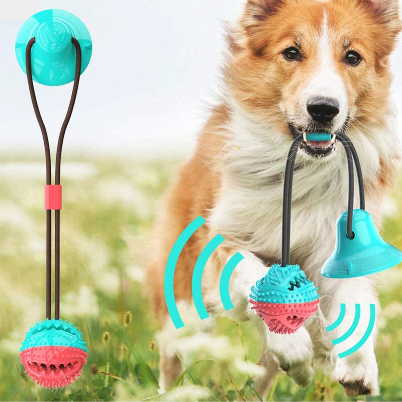 Dog toy with suction cup, rope, and food leak feature for interactive play.