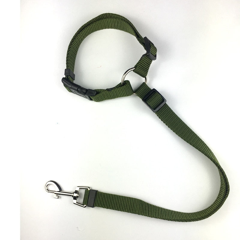 green dog seat belt