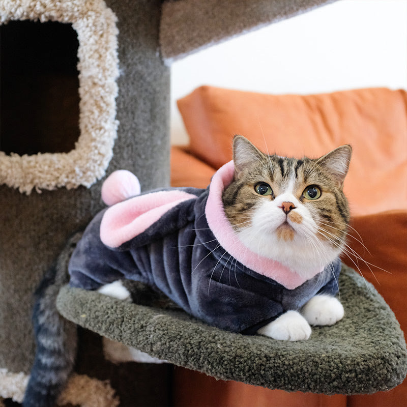 Warm and comfortable dog clothes for puppies and kittens