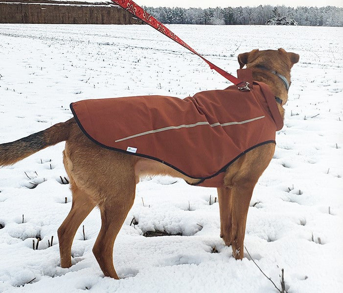 a dog wearing the  dog raincoat in brown color