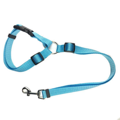 aqua dog seat belt