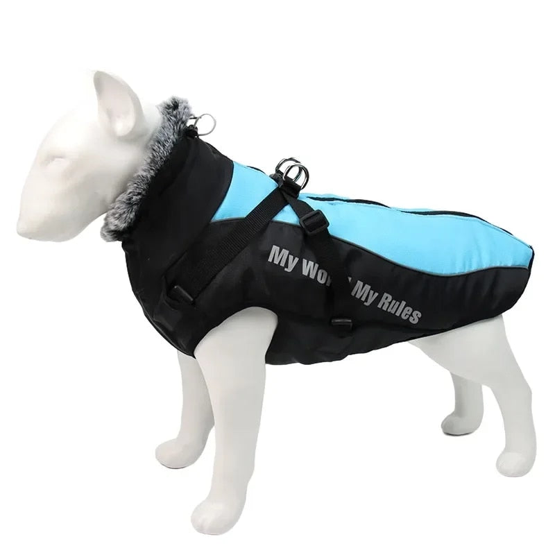 "Waterproof dog jacket displayed in a light blue pattern for stylish safety."
