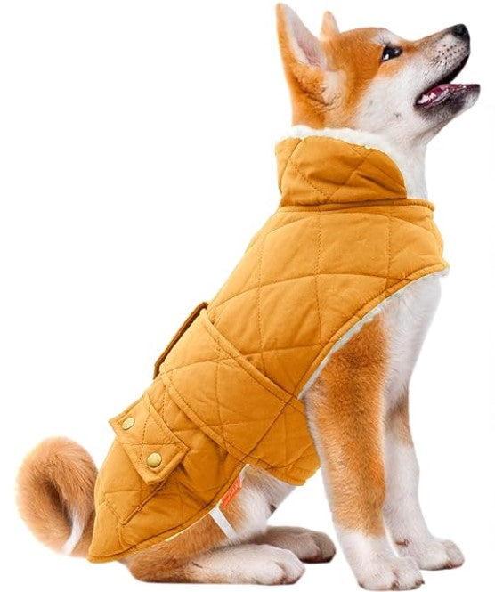 Warm Dog Jacket in Yellow Color