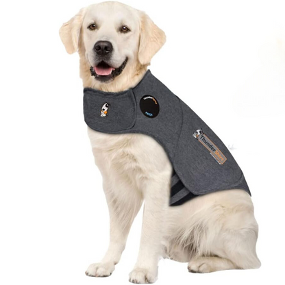 A dog wearing the Anxiety Jacket