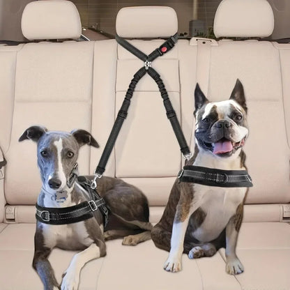 Dog seat belt securely fastened in car