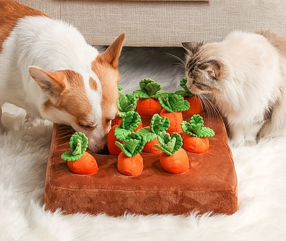 a dog and a cat playing with plush carrot toy