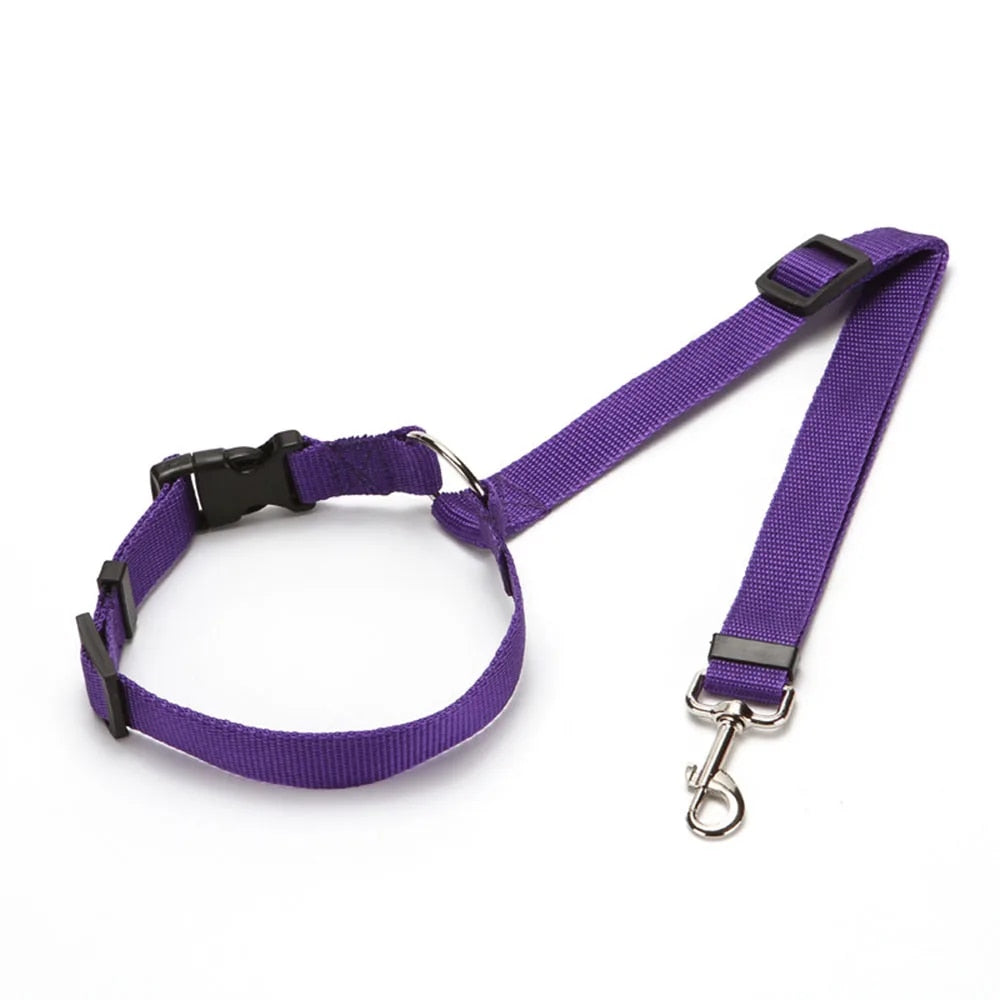 deep purple dog seat belt